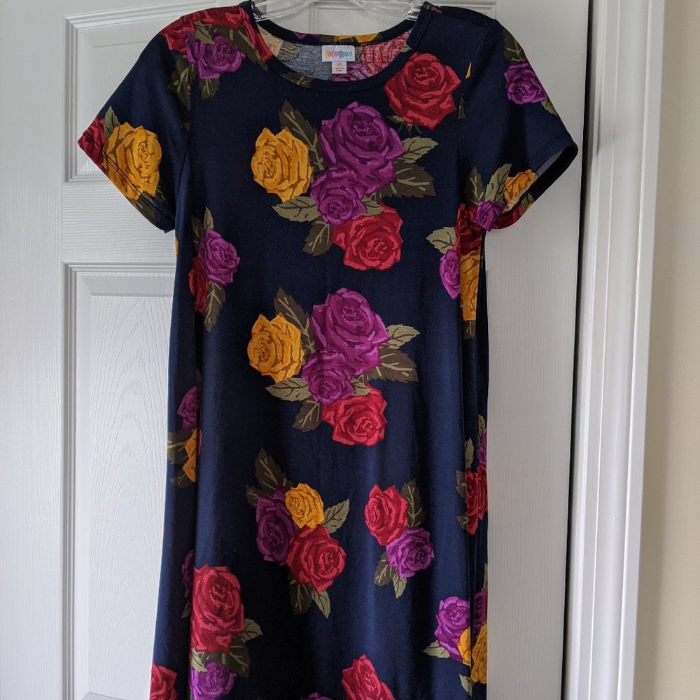 LulaRoe Carly Dress